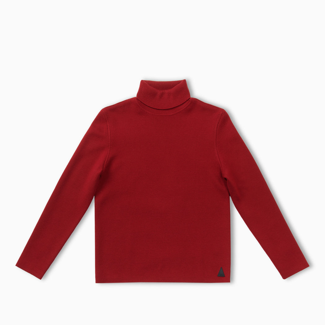 Matterhorn Solid Turtleneck