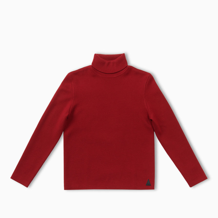 Matterhorn Solid Turtleneck