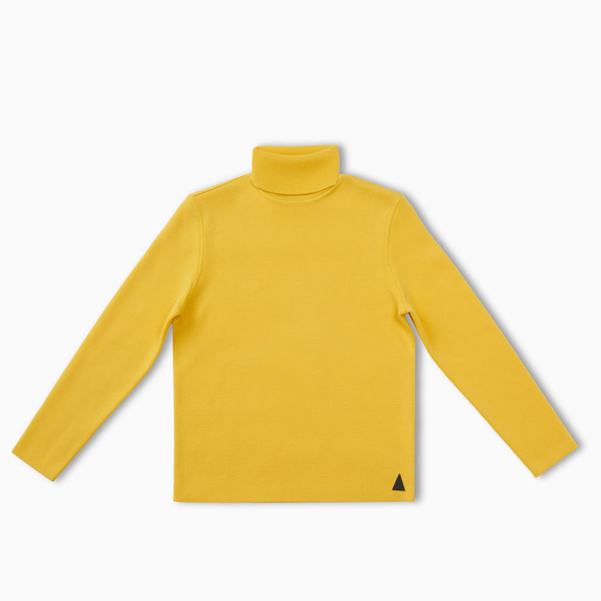 Matterhorn Solid Turtleneck
